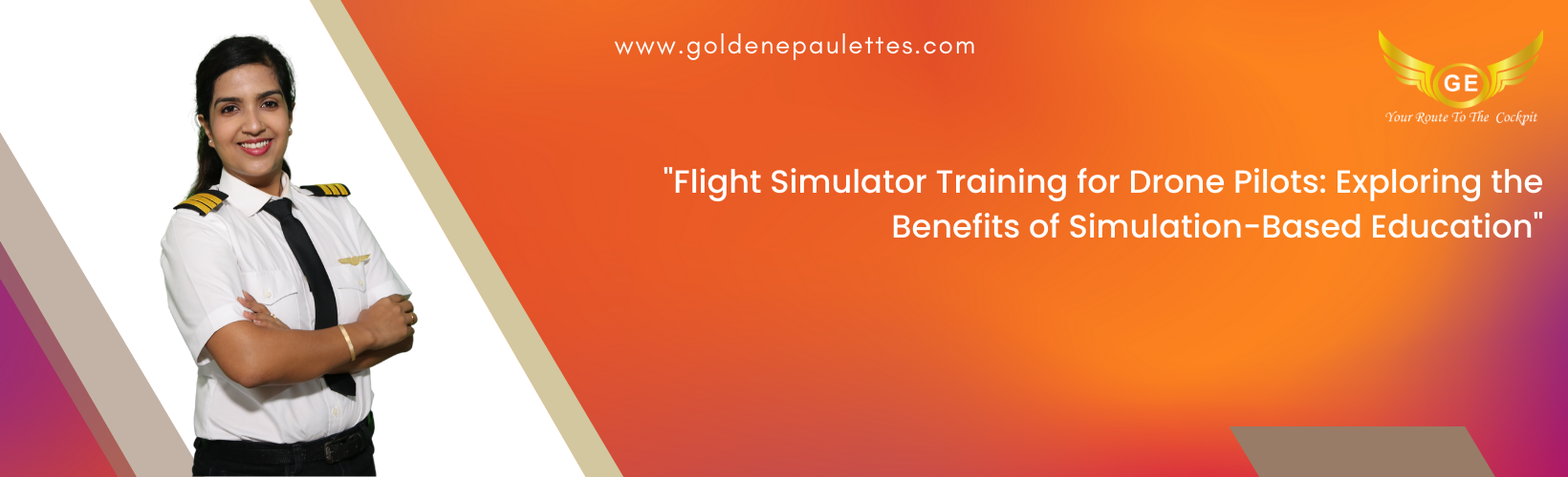 Flight Simulator Training for Drones